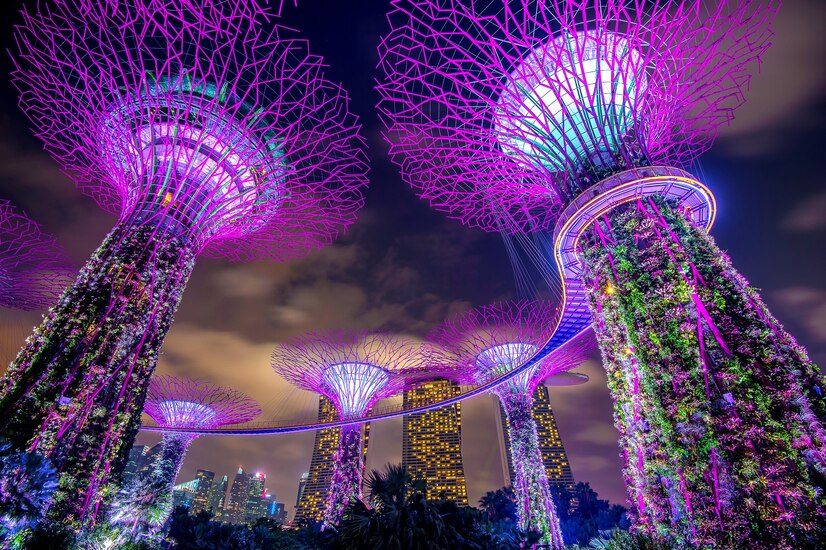 Must-Try Delights at Marina Bay Sands Food Buffet